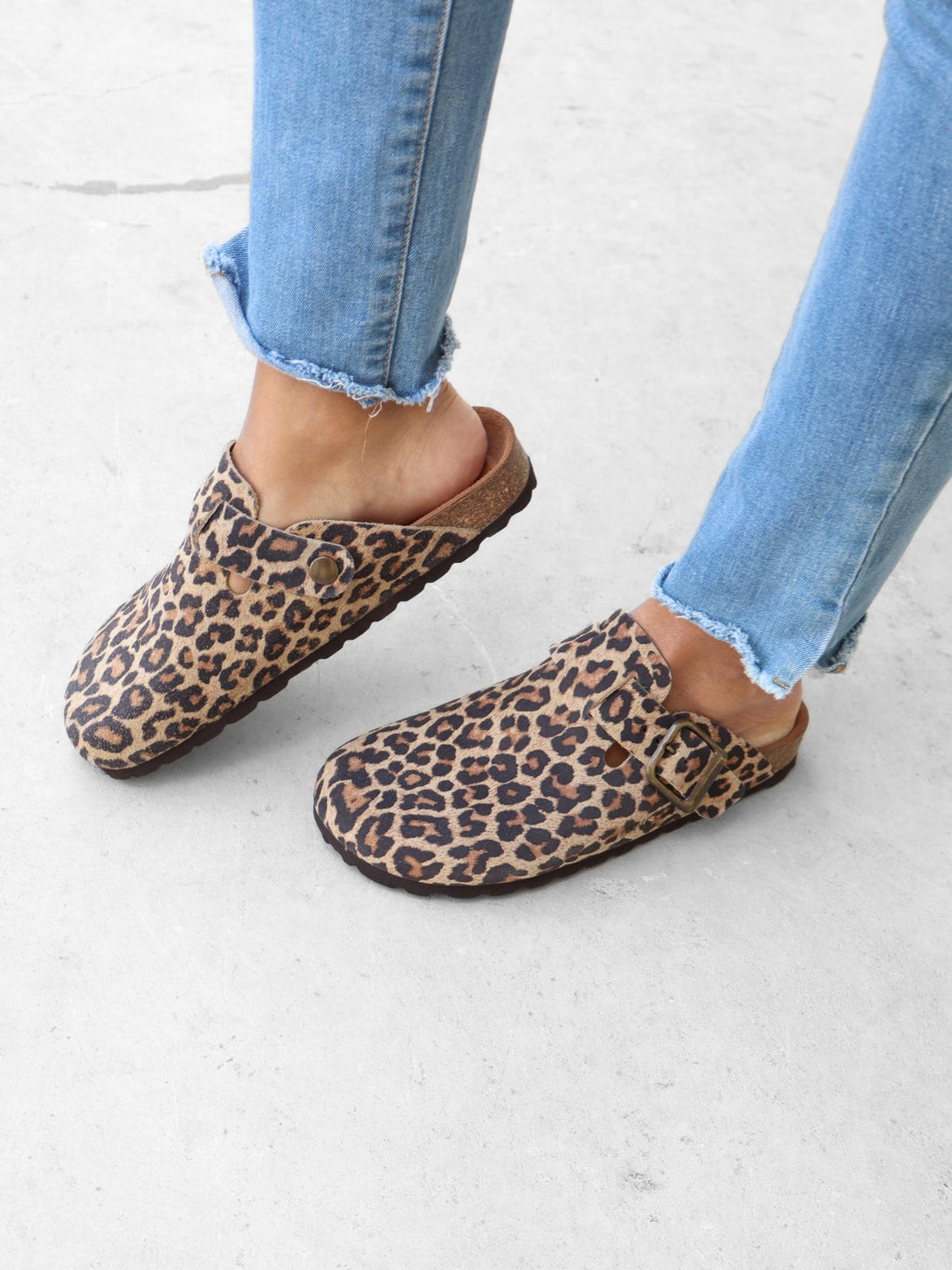 Leopardo