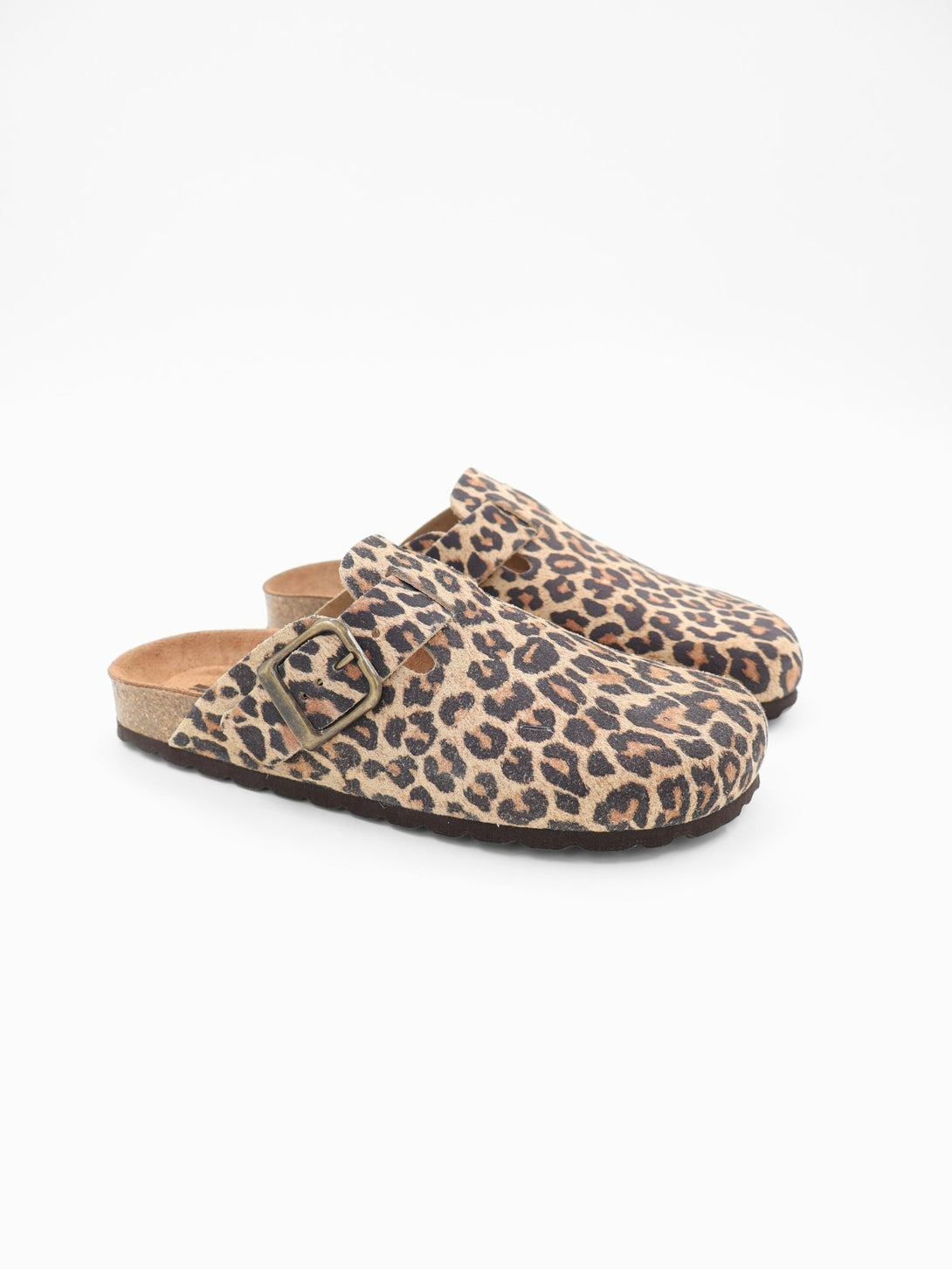 Leopardo