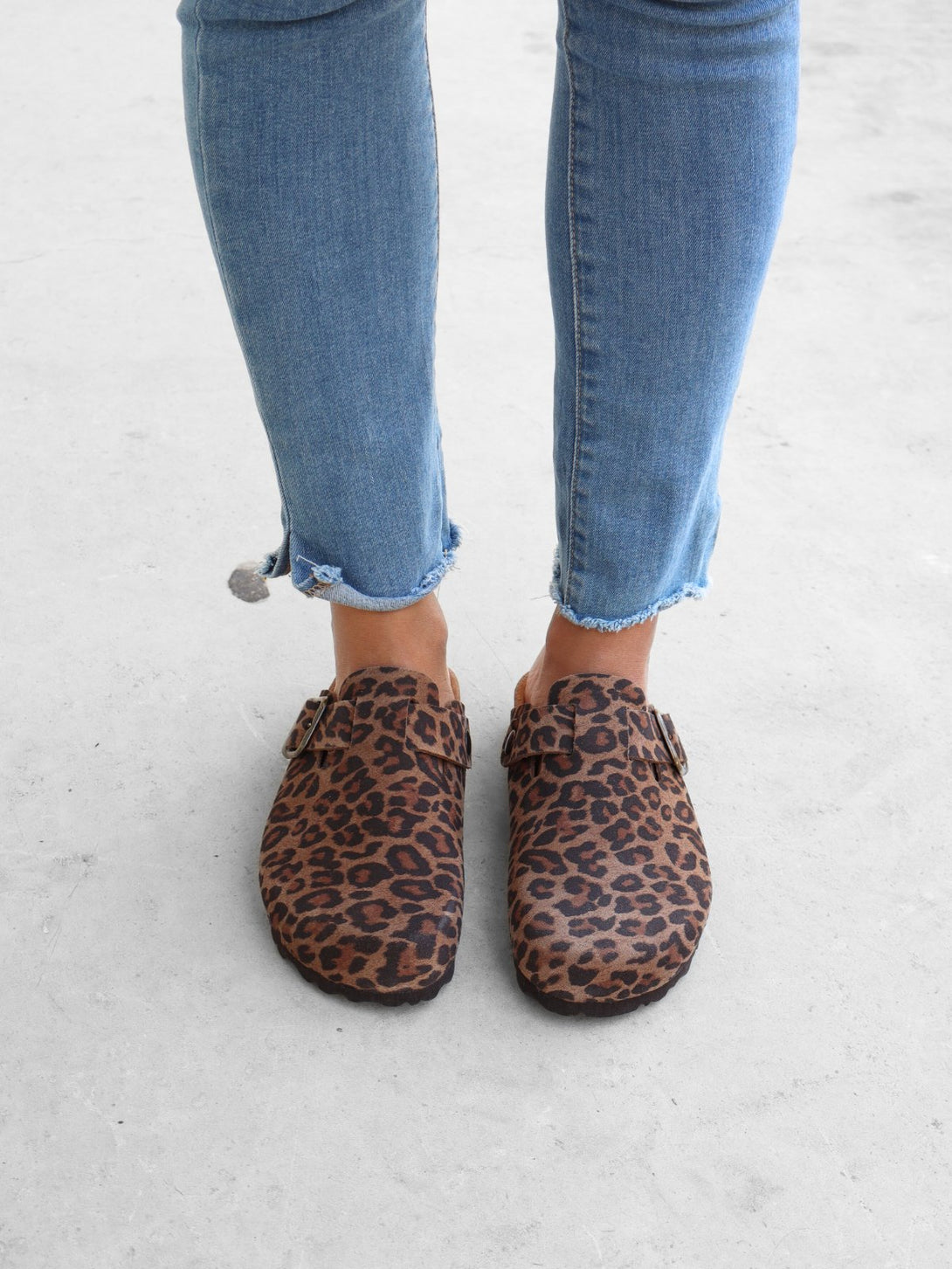 Leopardo