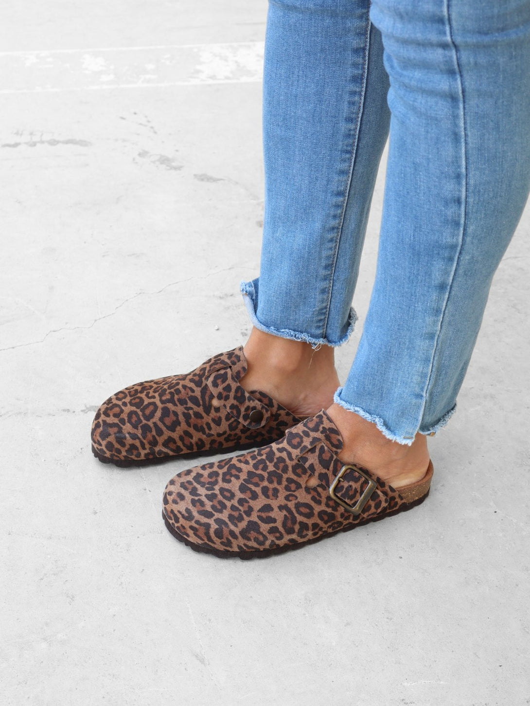 Leopardo