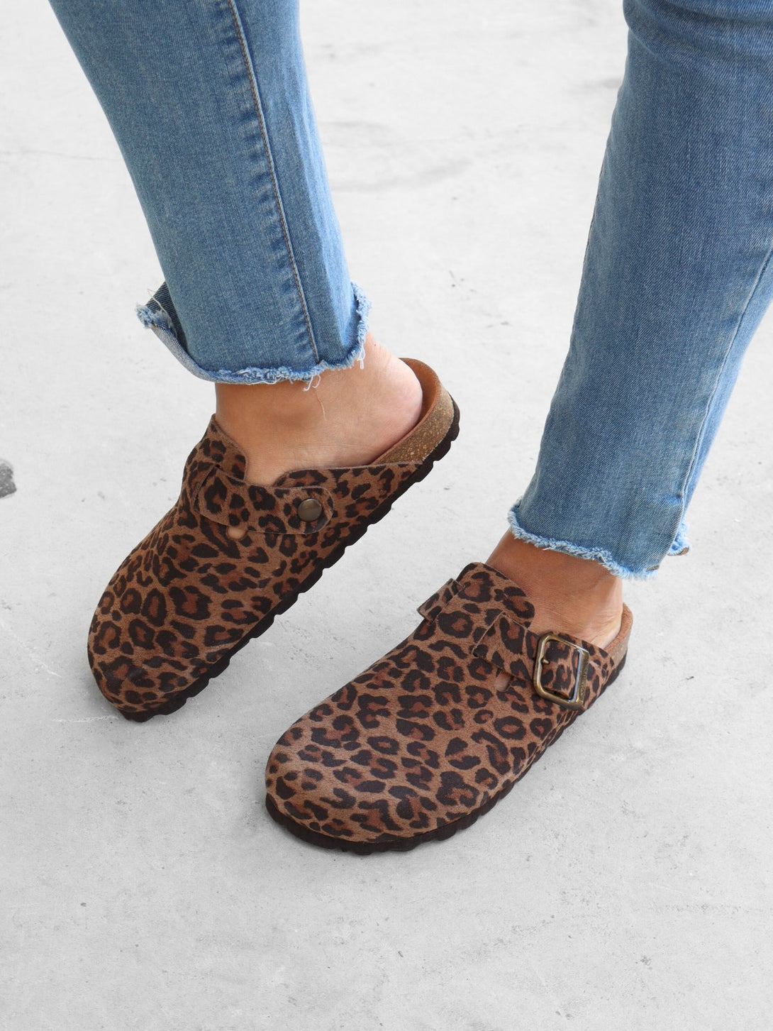 Leopardo