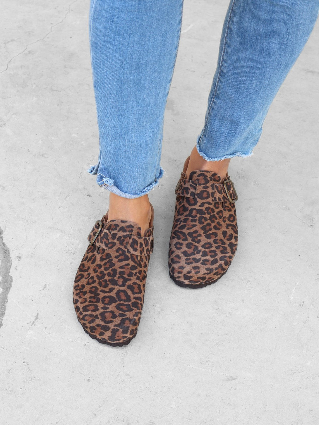 Leopardo