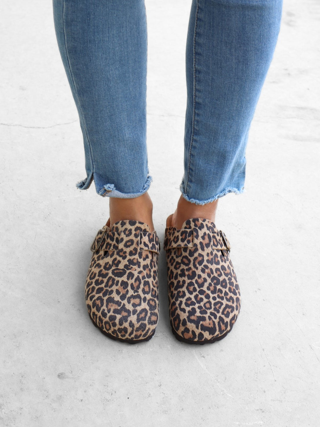 Leopardo