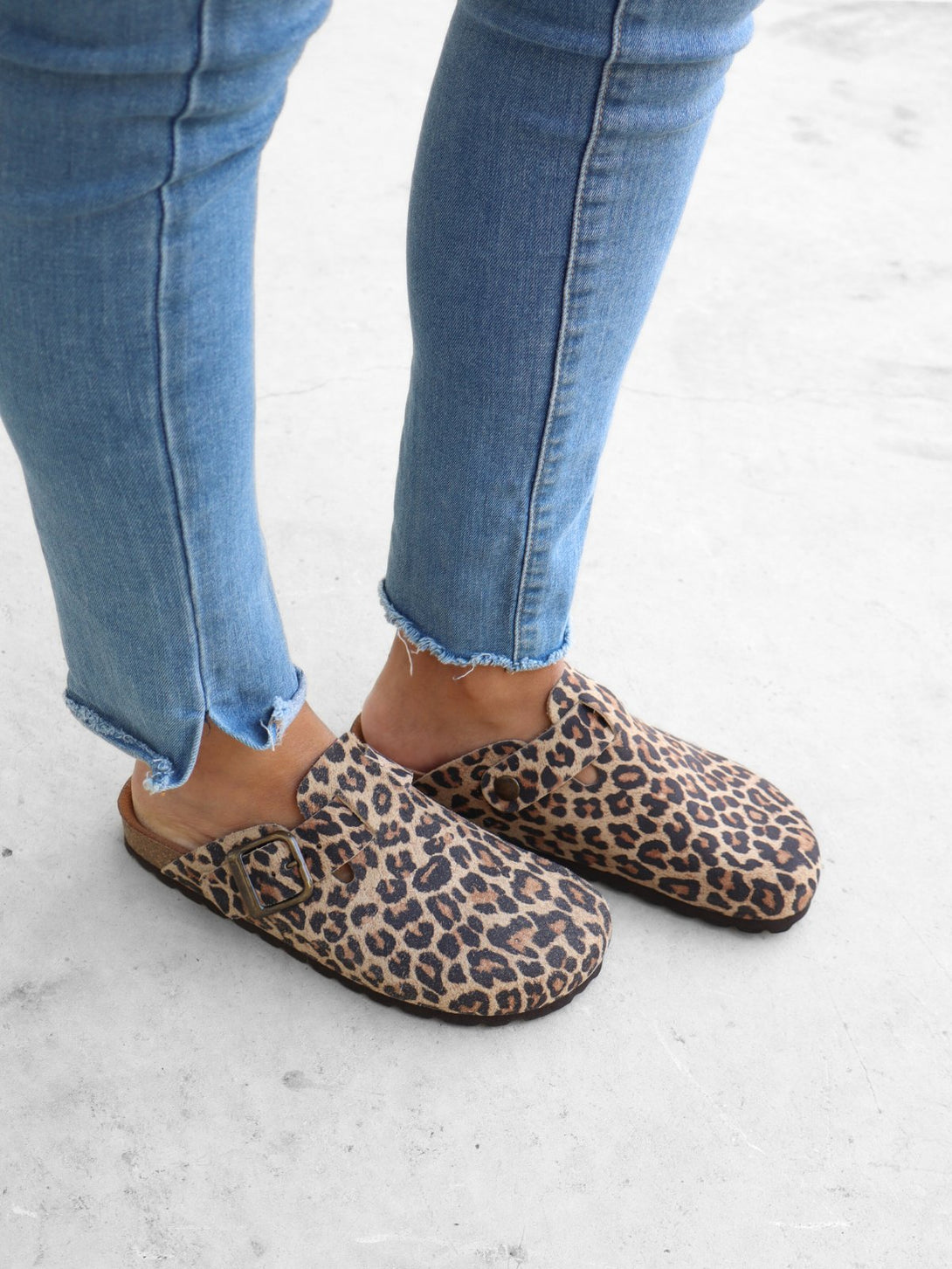 Leopardo