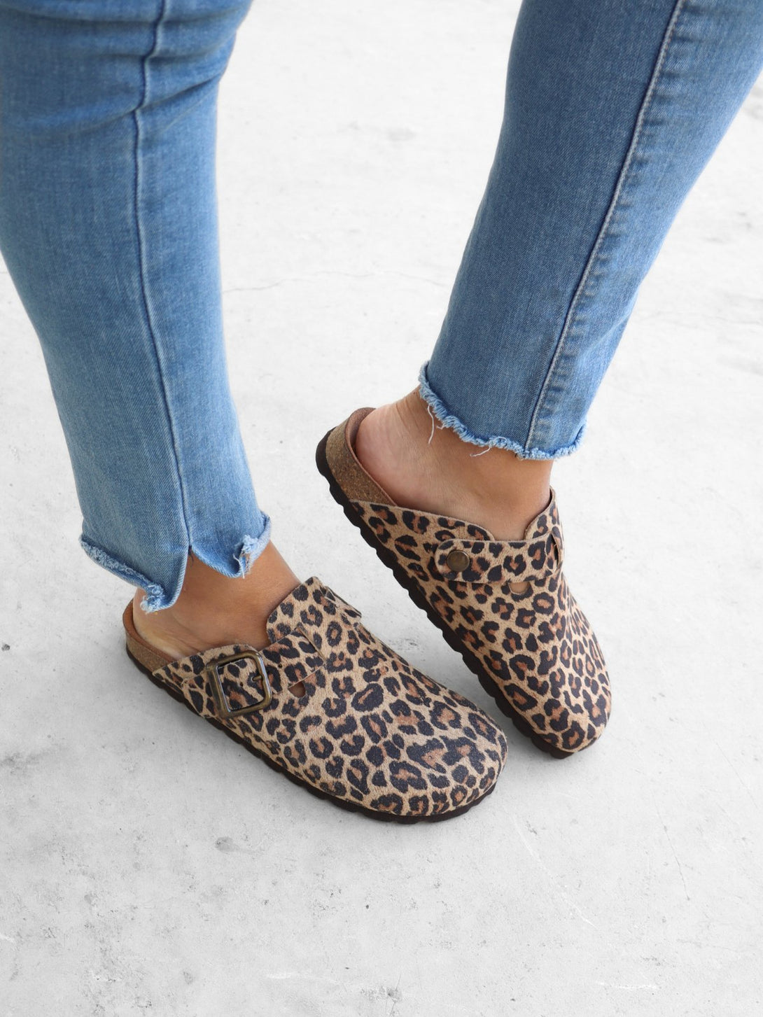 Leopardo